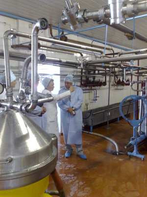 mmsz_iso9000_2.jpg mmsz_iso9000_2.jpg